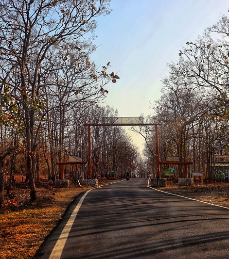 Pench jungle